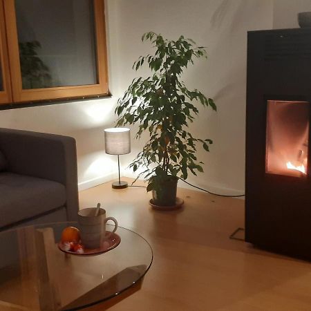 La Ticinella Daire Losone Dış mekan fotoğraf