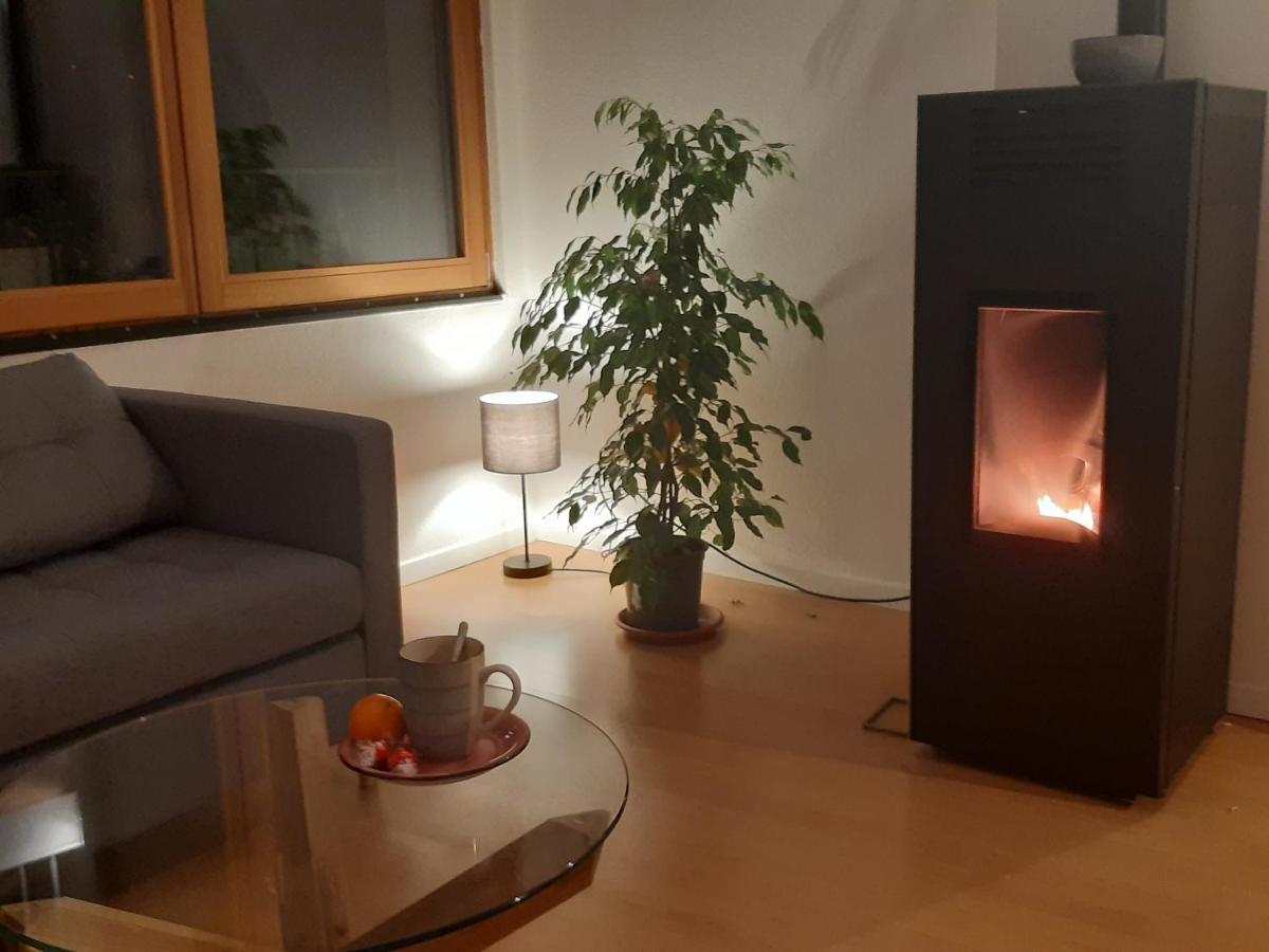 La Ticinella Daire Losone Dış mekan fotoğraf